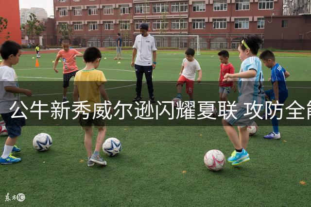公牛新秀威尔逊闪耀夏联 攻防全能表现征服最佳阵容评委