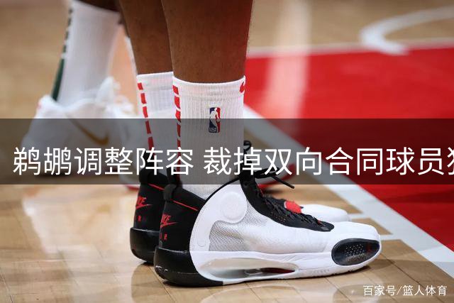 鹈鹕调整阵容 裁掉双向合同球员狄金森